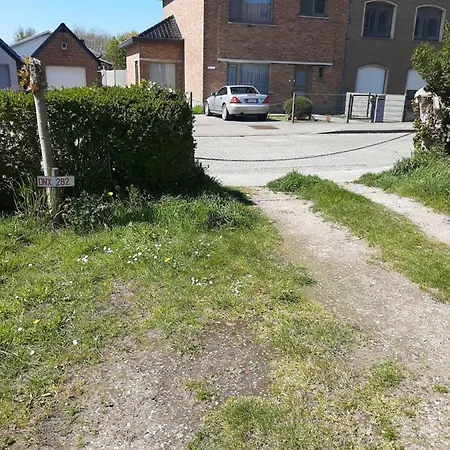 Vlakbij Zee En Duinen *